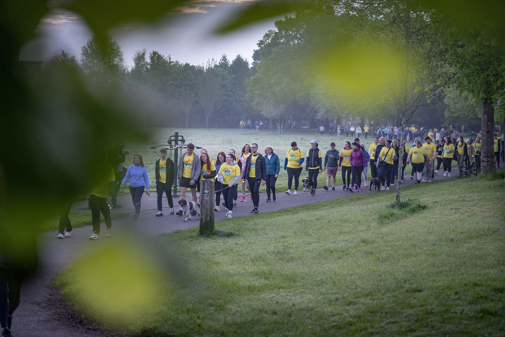 Large group of walkers making their way through Ormeau Park at sunrise for Darkness Into Light 2024.