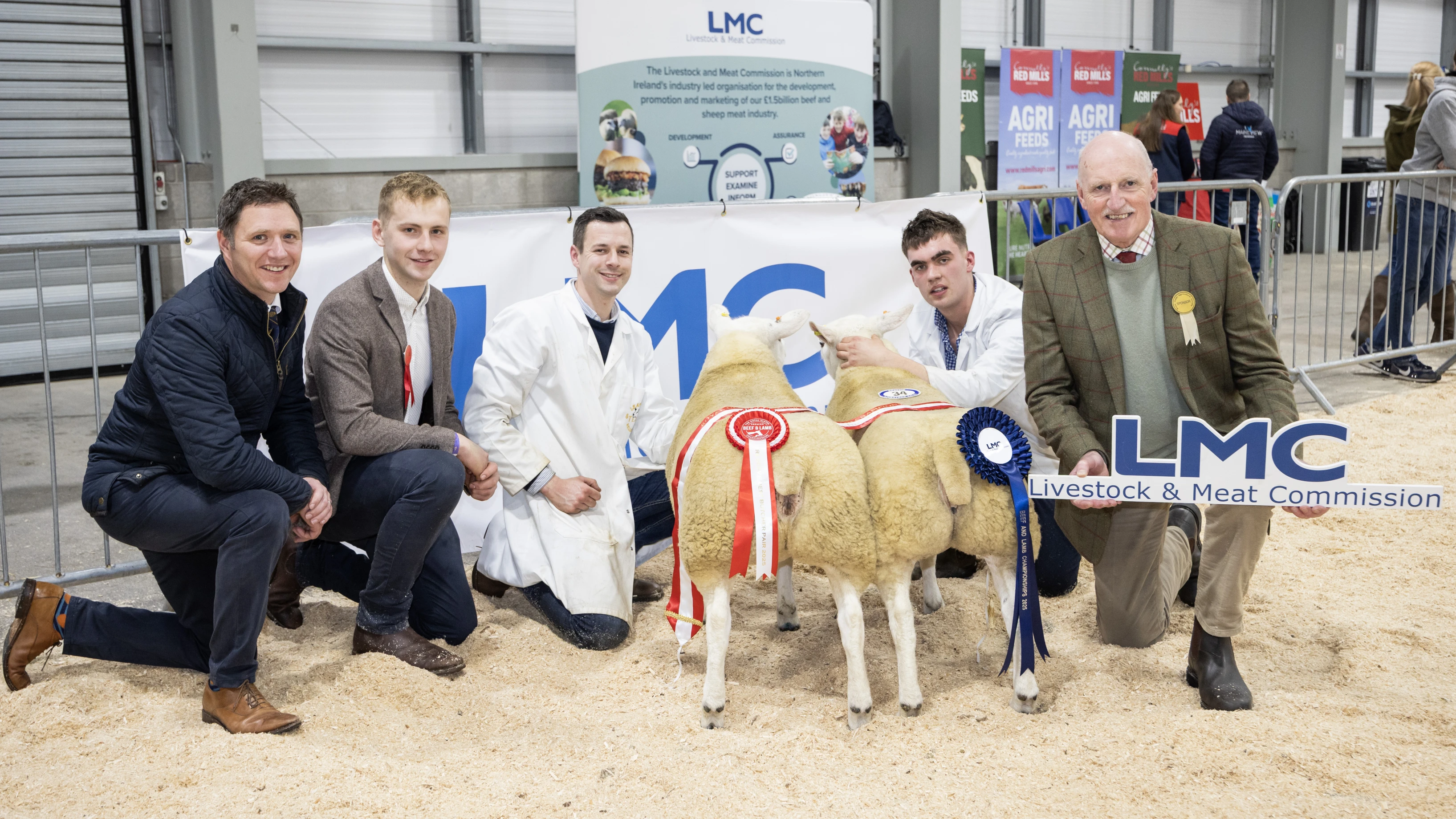LMC Sponsors Lamb Classes at Royal Ulster Premier Beef and Lamb Championships